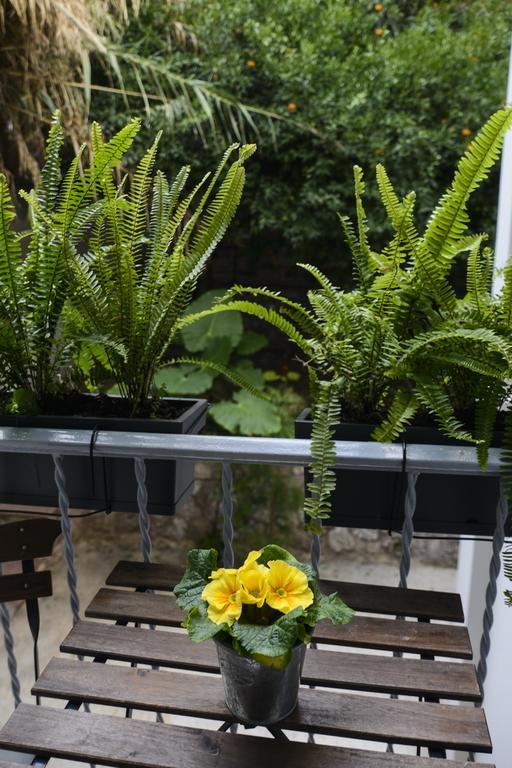 Your "Home Away From Home" In Acropolis Athens Ngoại thất bức ảnh